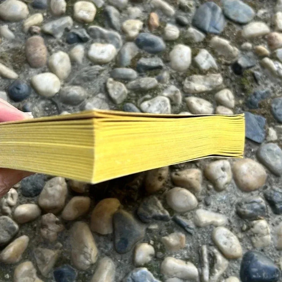 Vintage JULIA by Peter Straub Horror Ghost Paperback Book Novel 1975 - Picture 4 of 8